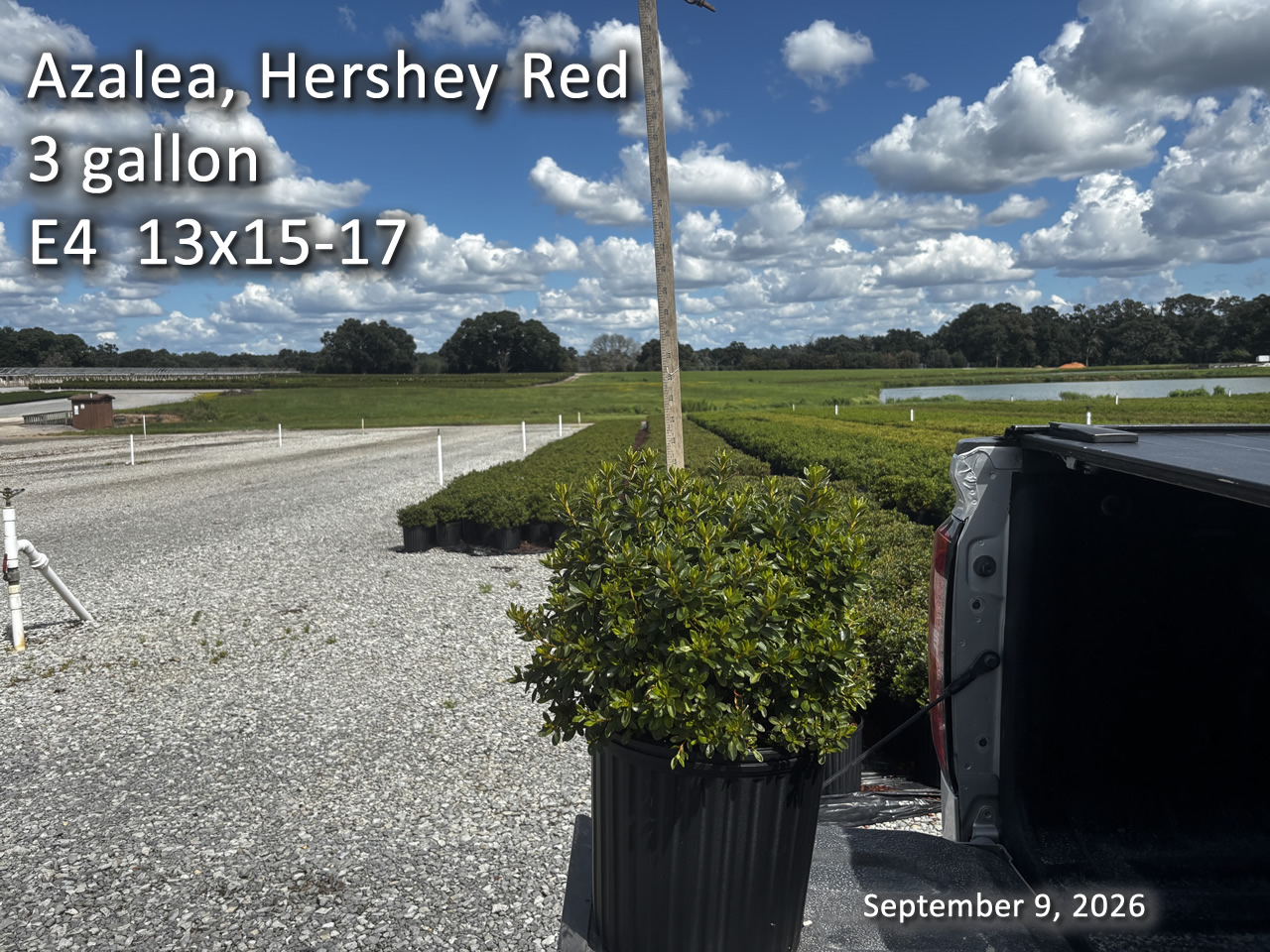 gallery/hr3 e4 sept9.jpg